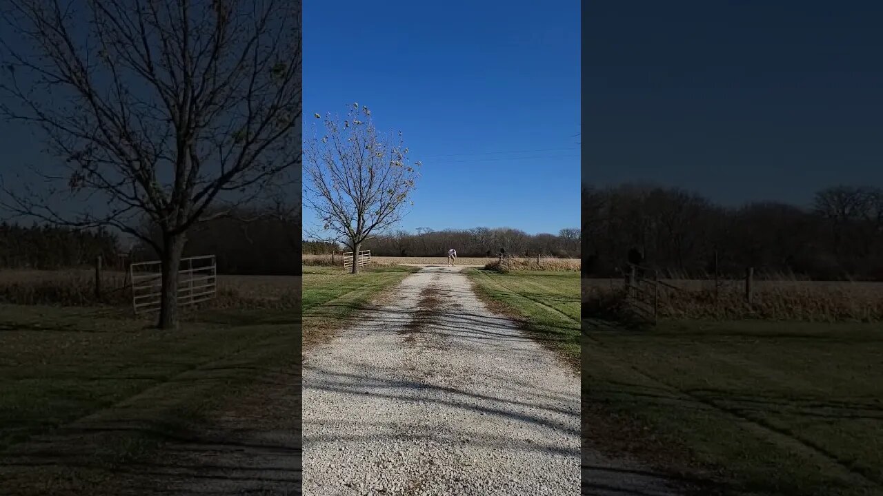 Discus Throw practice for Senior Olympics Nationals in Pittsburgh, Crazy 🤪 old man, 130+