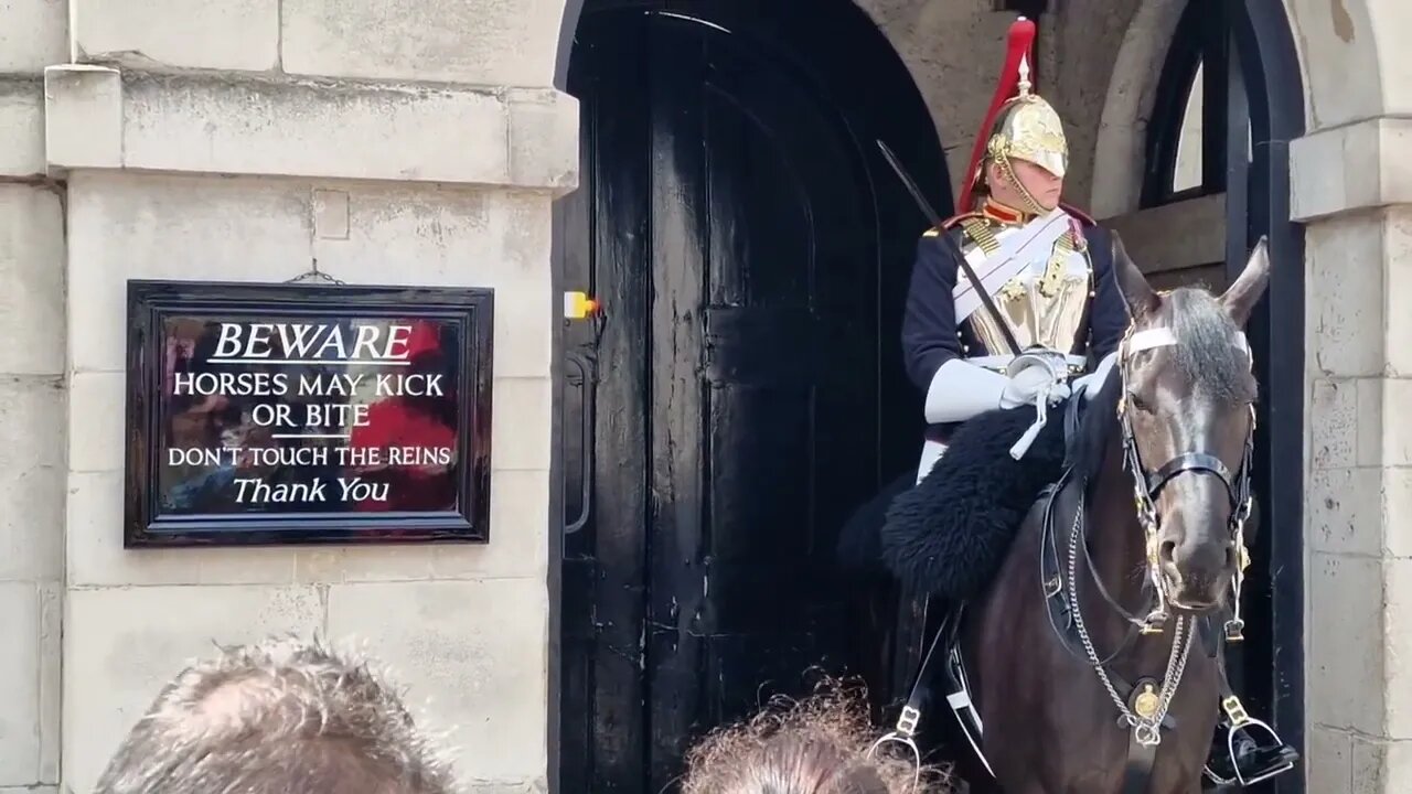 New sign warning the public Don't touch reins Thank you #horseguardsparade