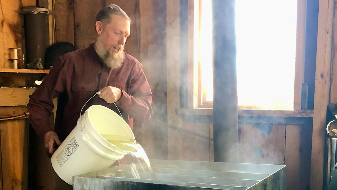 🍁Beginning The Maple Syrup Boil🍁