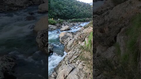 Rapids at Karangahape Gorge