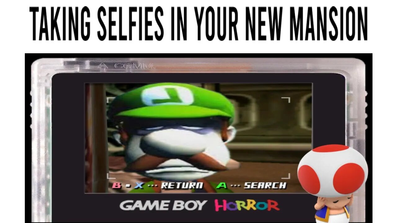 Taking Selfies Before Selfies Existed - Luigi's Mansion Part 4