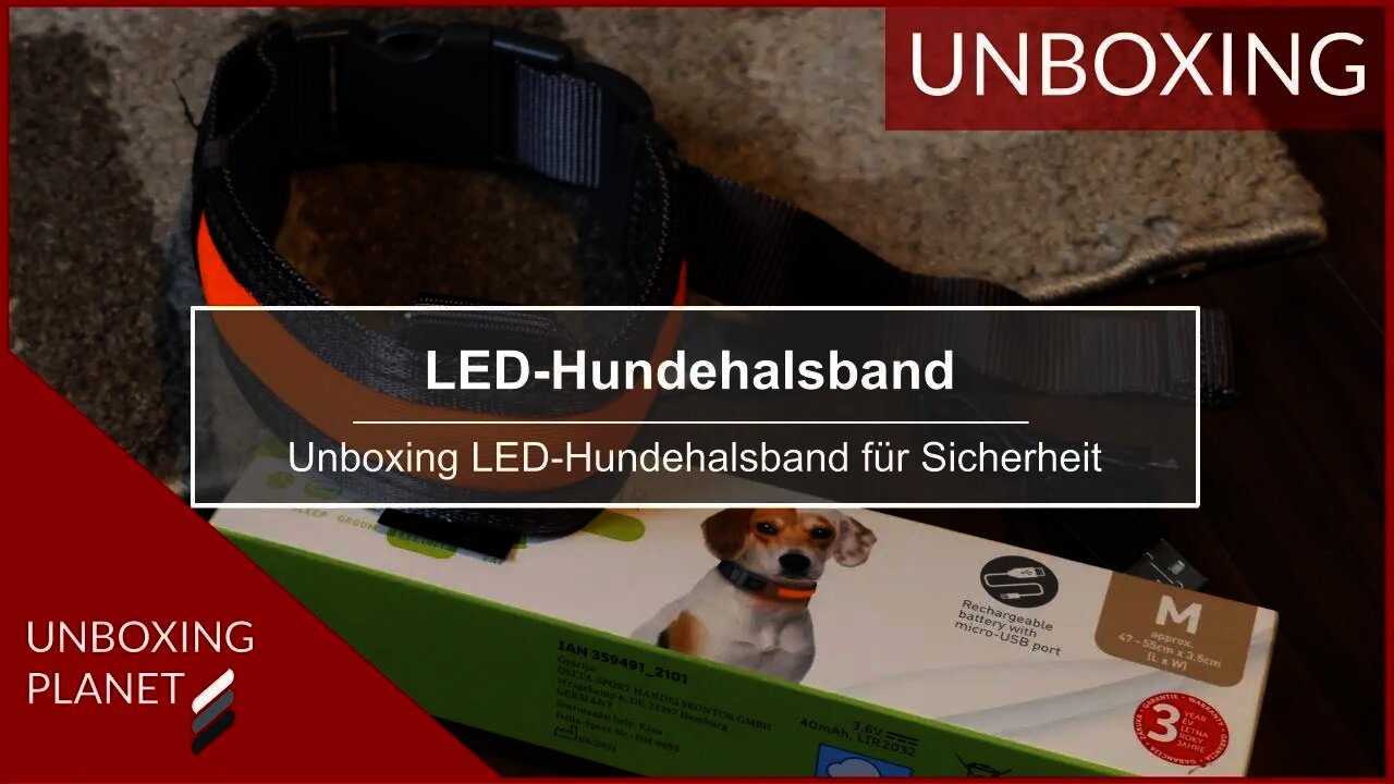 LED-Hundehalsband für Sicherheit im Winter - Unboxing Planet