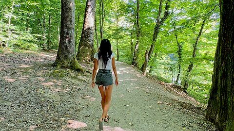 Forest Walk | Lotus Lake