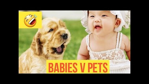 Baby Dogs and Funniest Dogs🐶 Cute and Funny🤣 Pets Compilation#1