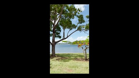 Enjoying the breeze at Lake Tinaroo