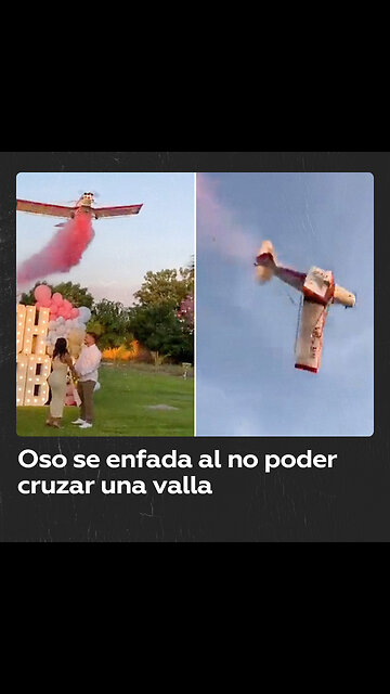 Tragedia en fiesta de revelación de género: Avioneta se estrella y piloto muere