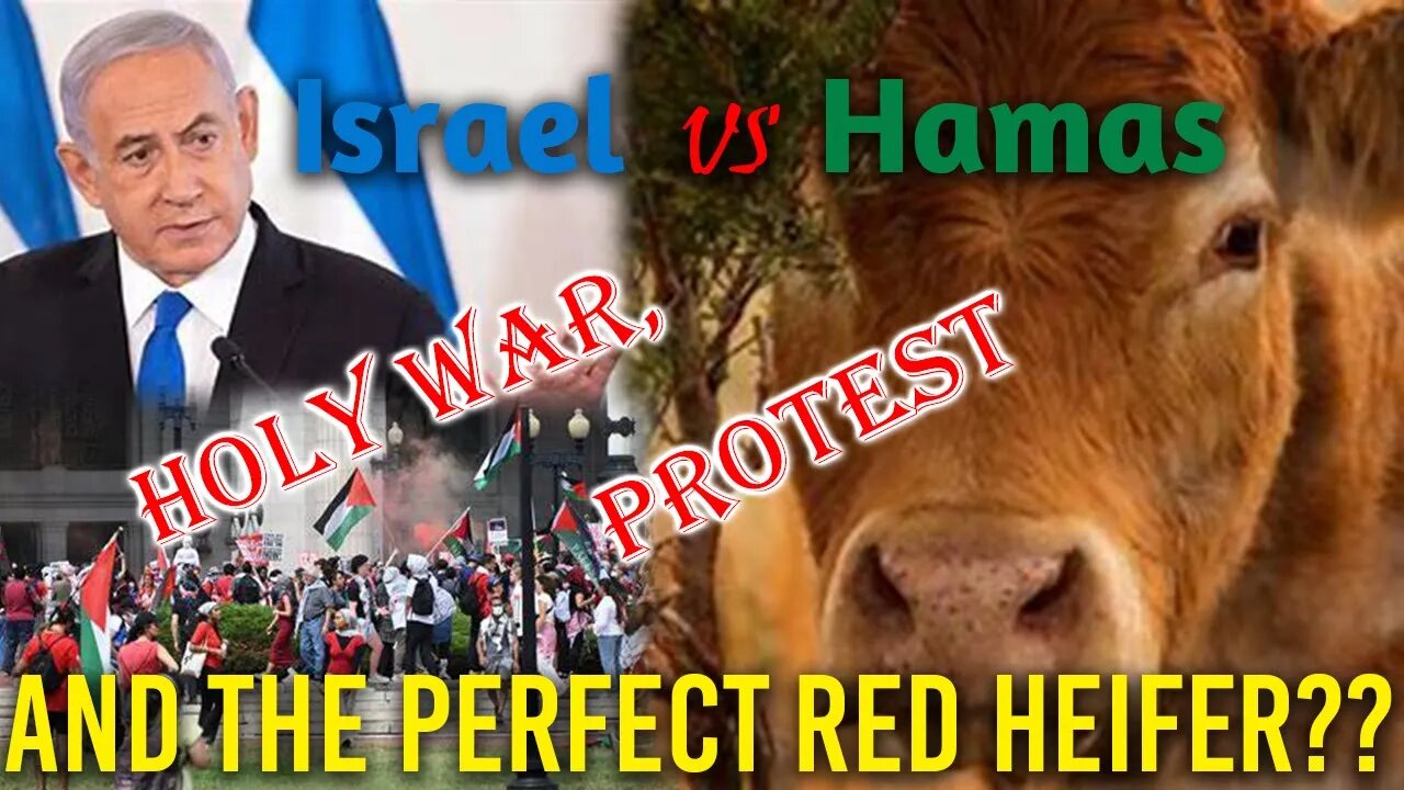 Will 5 Red Heifers start WWIII with the Hamas & Israeli Conflict