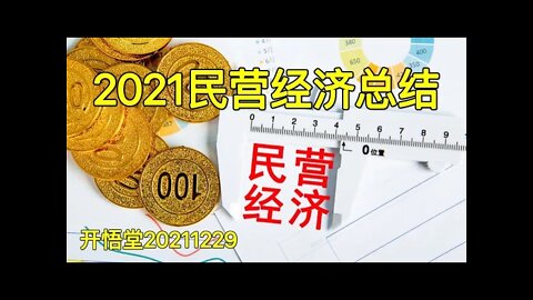 3300-2021民营经济总结-20211229-6