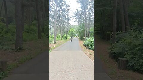 충남 서천군 국립희리산해송자연휴양림