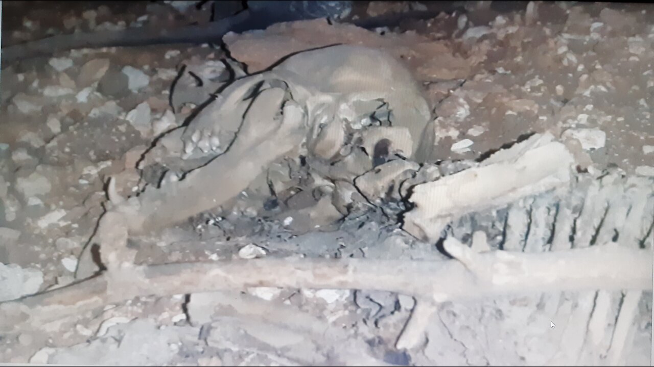 The largest real skeletons were discovered inside a cave since thousands of years