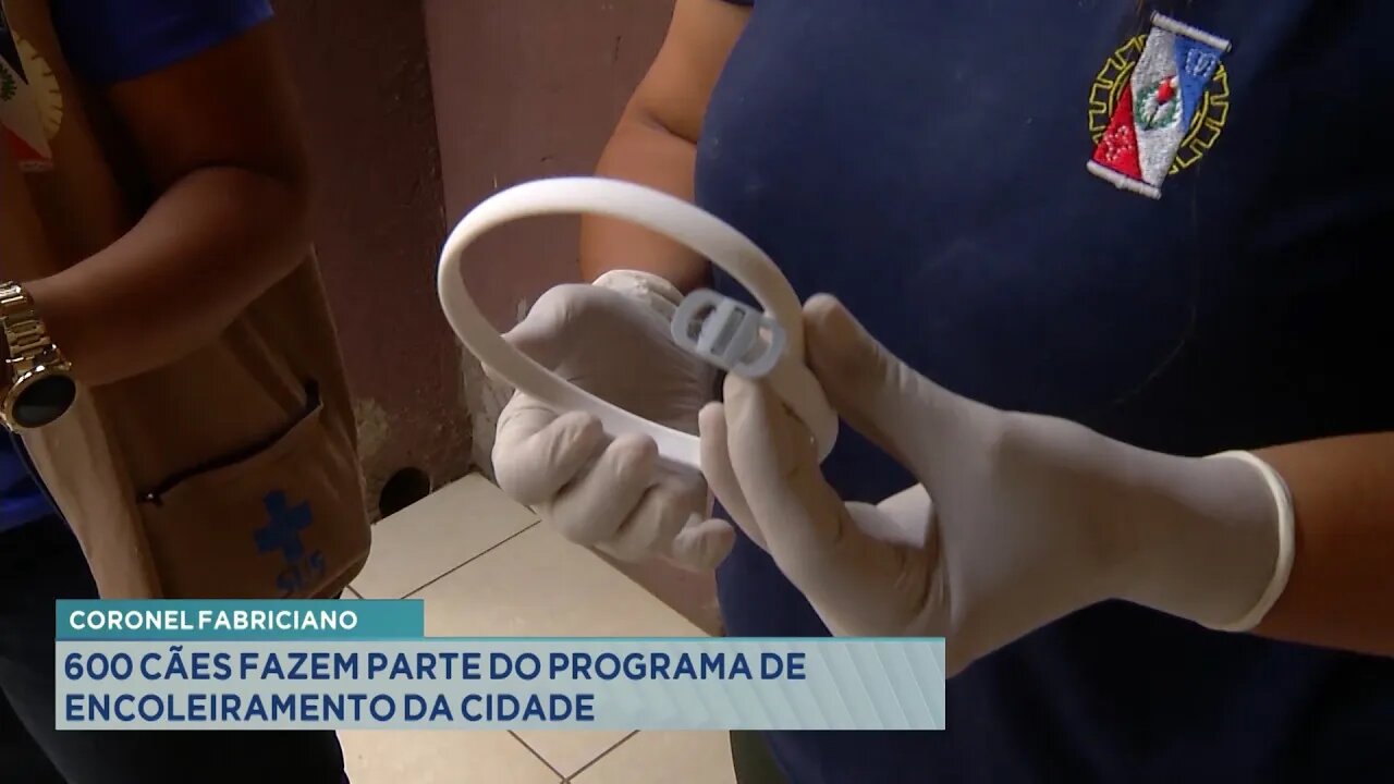 Cel. Fabriciano: 600 Cães fazem parte do Programa de Encoleiramento da cidade.