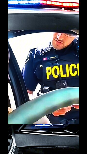 Cops pull over wrong guy