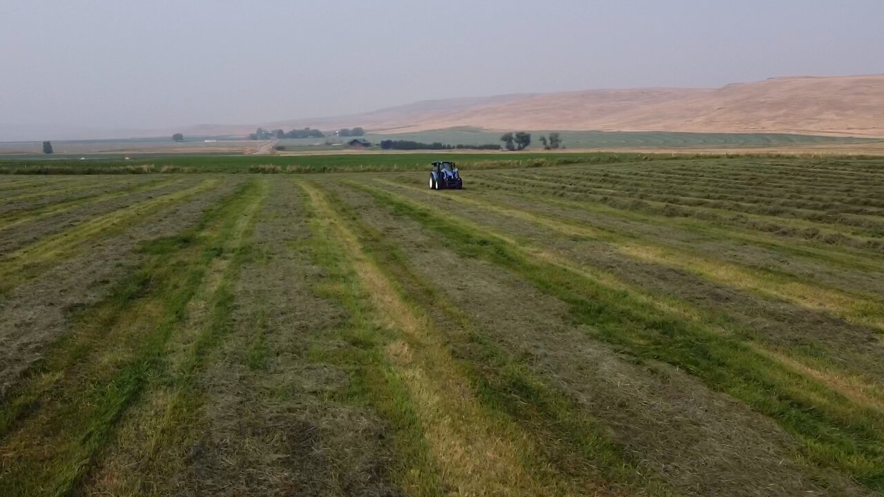 New Holland with hay Tedder