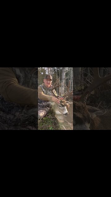An awesome Oregon Blacktail taken with a 22 Creedmoor #shorts #hunting