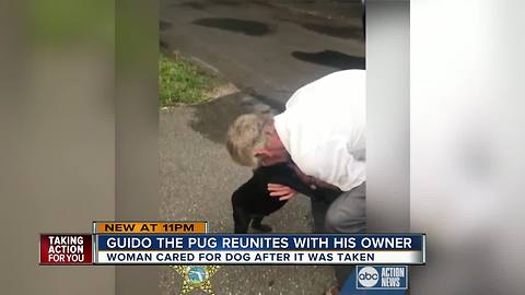 69-year-old reunited with beloved dog after he was stolen in his car from Tampa shopping center