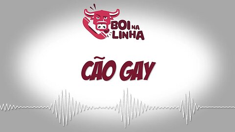 Boi na Linha: cão gay