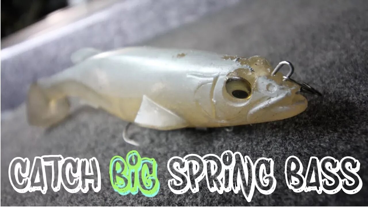 My GO TO Spring Bass Baits!