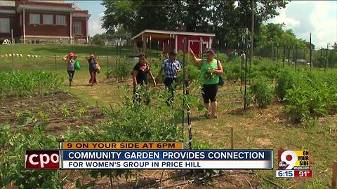 Community garden provides connection