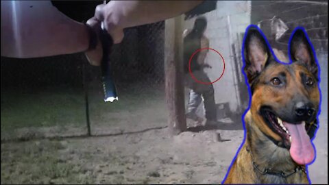 Body Cam: Officer Involved Fatal Shooting. The Killing Of K-9 JANGO. Bakersfield PD April 27 2021