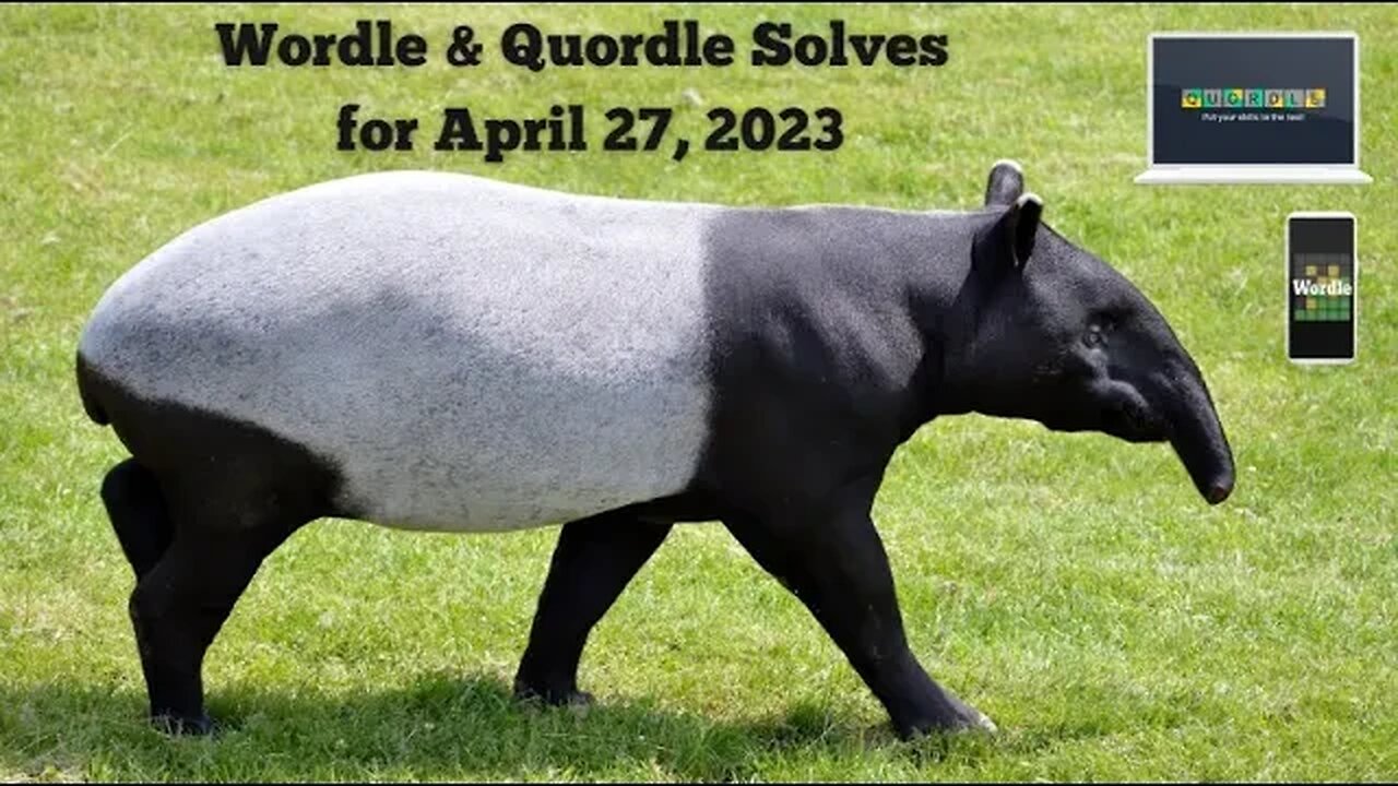 Wordle and Quordle of the Day for April 27, 2023 ... Happy Tapir Day!