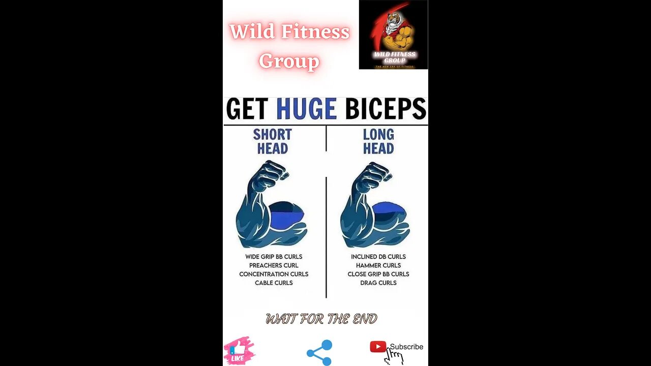 🔥Get huge biceps: short head v/s long head🔥#shorts🔥#viralshorts🔥#fitnessshorts🔥#wildfitnessgroup🔥