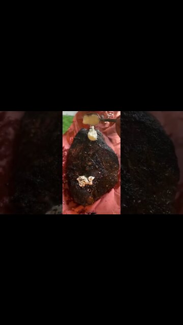 The secret to successful brisket | @primoceramicgrills on IG 🐃😻 #shorts