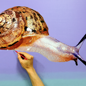 Talented artist creates breathtaking snail portrait