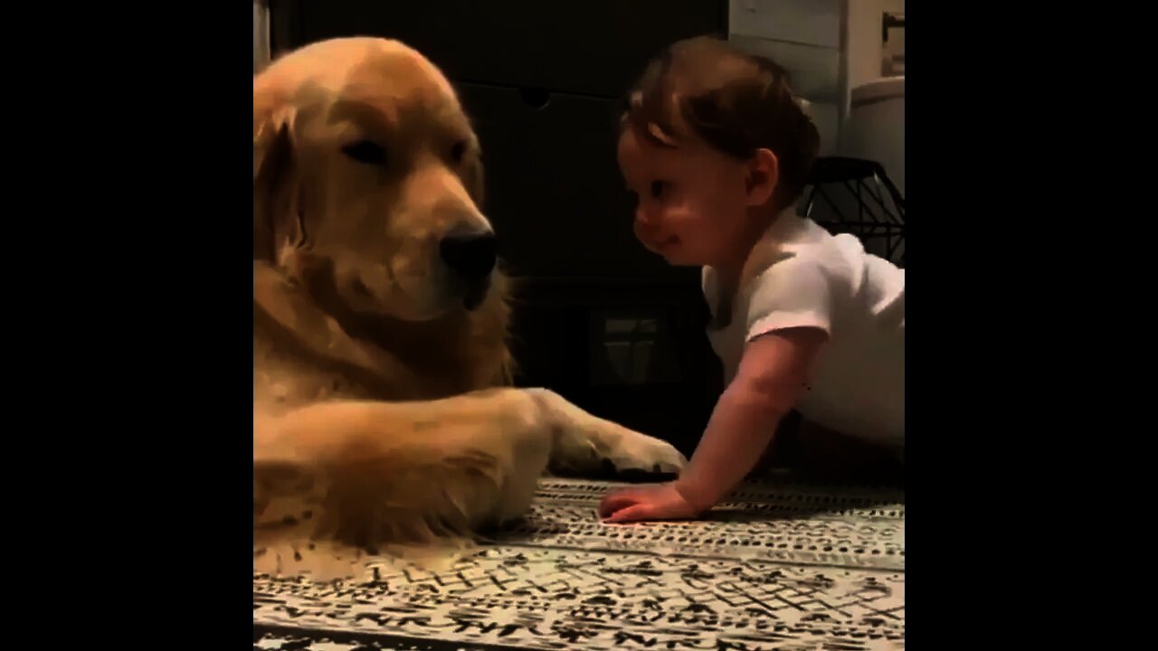 Mommy said to take care of this baby | #Shorts #animal #Dogs