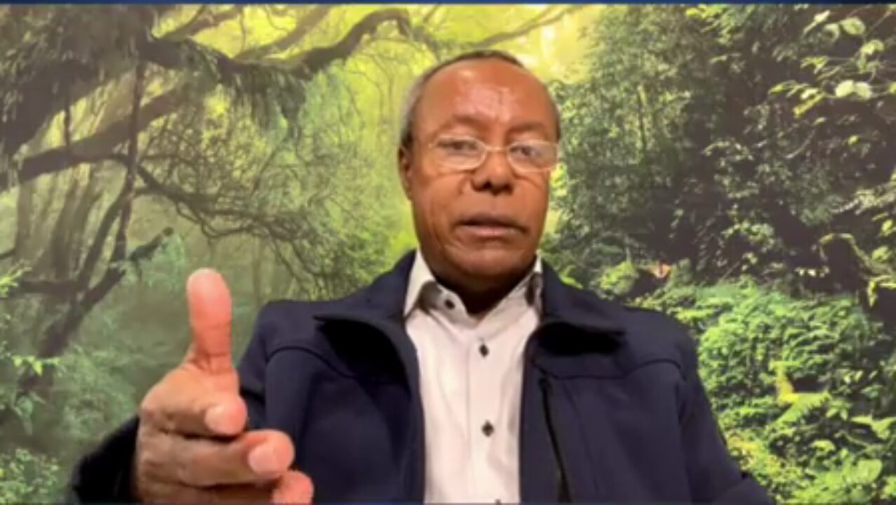 ጦርነቱ የህወሓት እና የማዕከላዊው መንግስት ነው ስለዚህ በጀቱን መቻል ያለበት መከላከያ ሚኒስትር እንጂ አማራው አይደለም - አያሌው መንገሻ