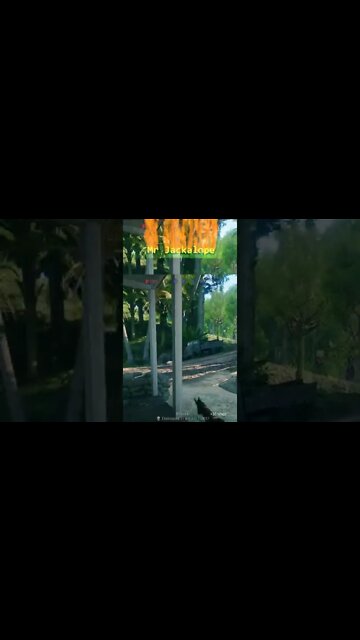 Enlisted Shorts - SATISFYING KILLS