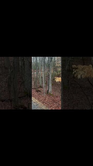 Could You Survive 3 Miles With 35 Pounds On Your Back & Finish With 200 Push-ups?