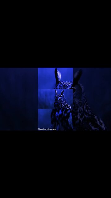 The Owl Flag of Great Tartary symbolised the keeper of advanced knowledge #tartaria #tartar