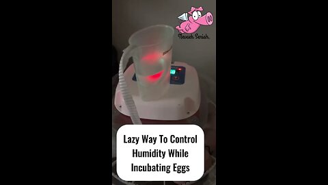 Incubating Chicken Eggs Humidity Hack