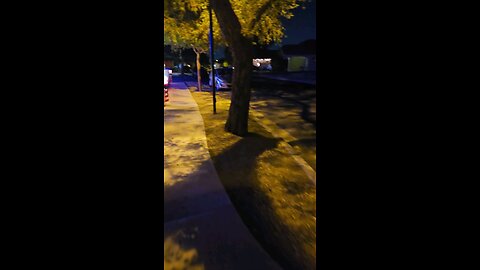 Amazing Christmas Lights