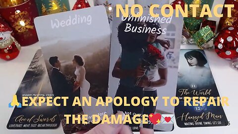 💔NO CONTACT🥹 THEY BROKE YOUR HEART🙏EXPECT AN APOLOGY TO REPAIR THE DAMAGE💖💌COLLECTIVE LOVE TAROT 💓✨