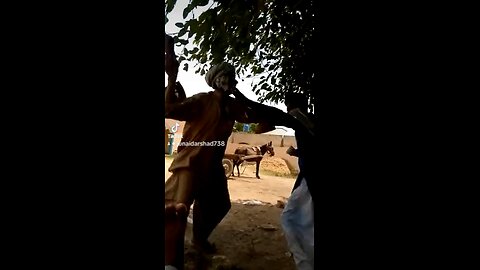 Punjabi fight