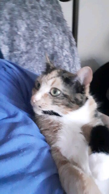 Cali Chilling and Cuddling