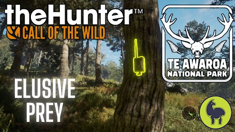 The Hunter: Call of the Wild, Elusive Prey, Te Awaroa- PS5 4K