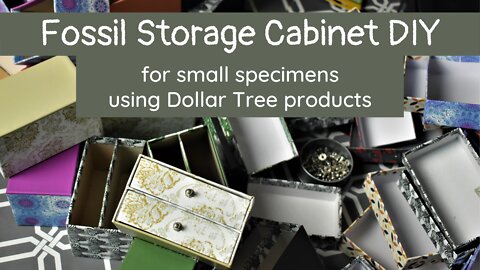 DIY Fossil Storage Using Dollar Tree Mini-Drawers