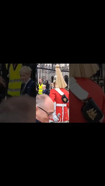 make way tourist moves #horseguardsparade