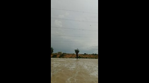 #dubai flood