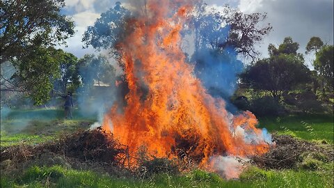 Fire Pit - Burn Off Day