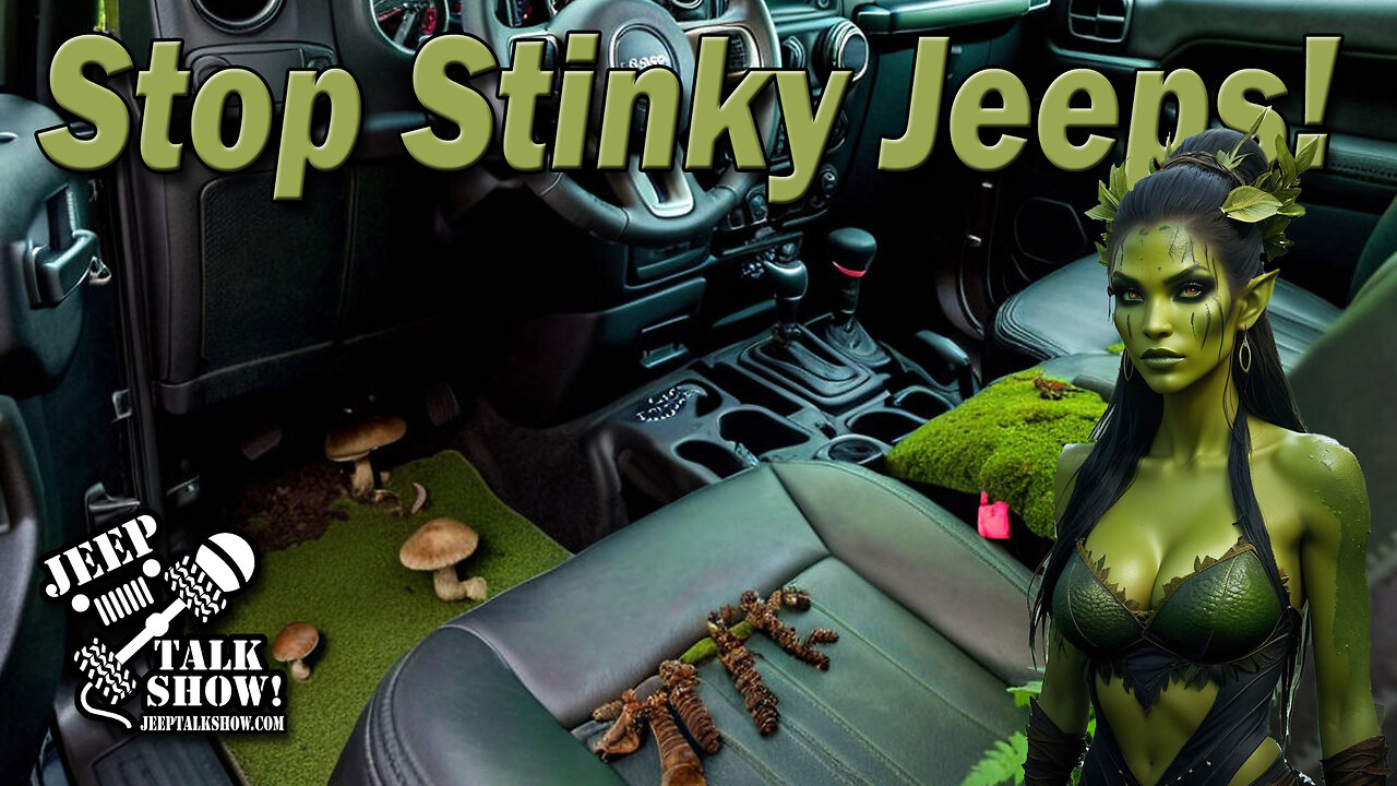 Stop Skinky Jeeps!