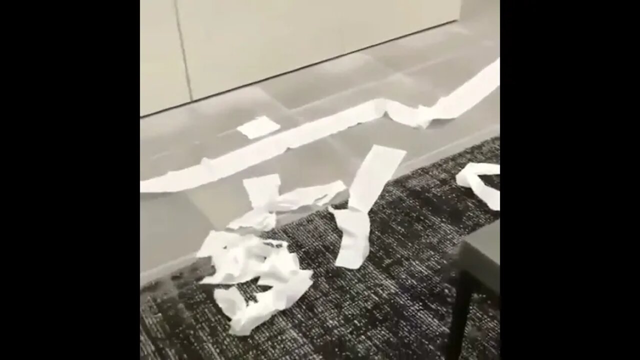 Naughty Dog 🐶#Shorts #ytshorts #UbertainmentFun #Dogs #Animals #Fun