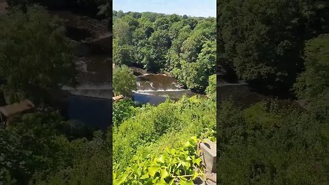 #river Nidd flowing