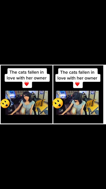 A cat full of cuteness