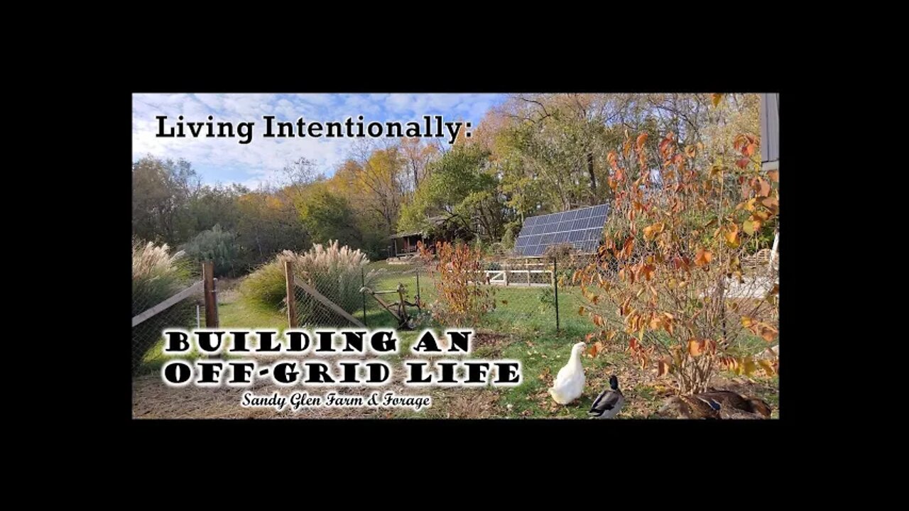 Living Intentionally: Building an Off-grid Life