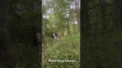 Go Blake and Amelia #shortsfeed #youtubeshorts #viral #horseriding #fy #equestrian #horse #fypシ