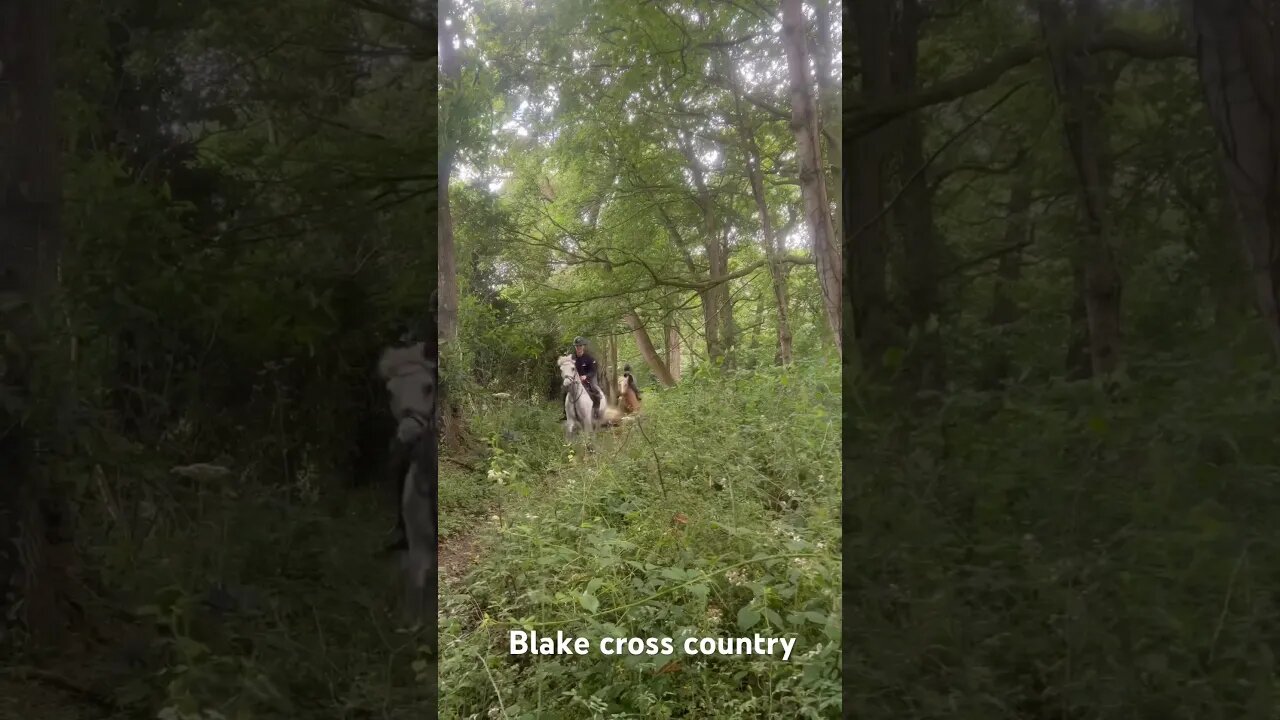 Go Blake and Amelia #shortsfeed #youtubeshorts #viral #horseriding #fy #equestrian #horse #fypシ