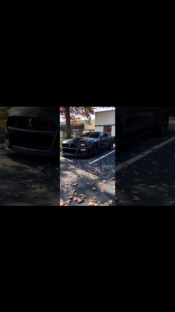 Just in my mind as always #ford#mustangsociety #fordperformance #fordracing #shelby #shorts